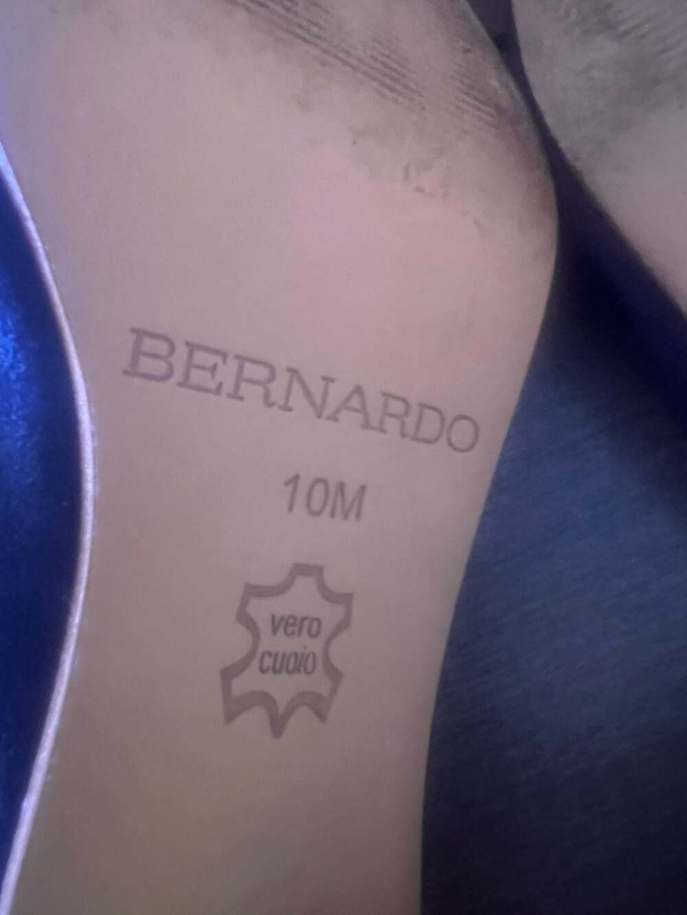 Bernardo - Picture 5 of 6